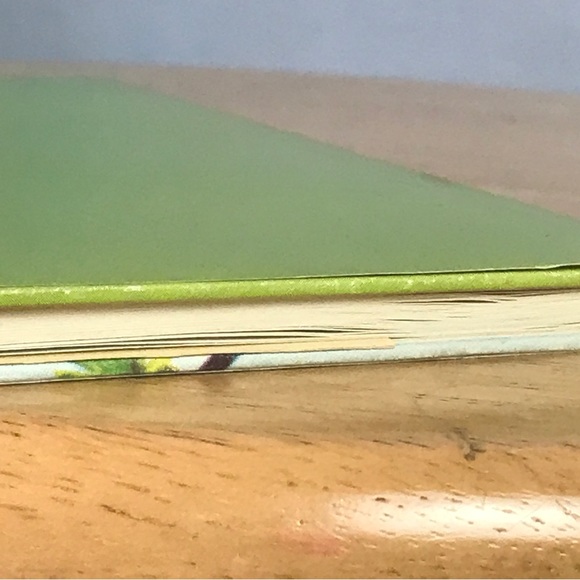 Flower Fairies of the Spring by Cicely Mary Barker - Picture 4 of 10